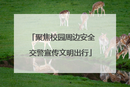 聚焦校园周边安全 交警宣传文明出行