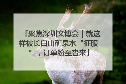 聚焦深圳文博会｜就这样被长白山矿泉水“征服”，订单纷至沓来