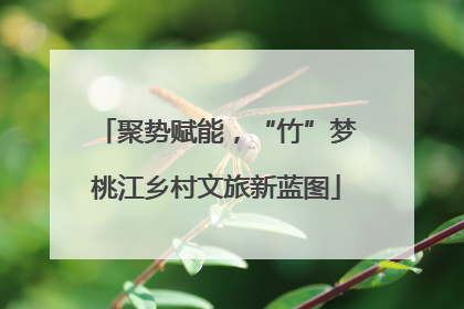 聚势赋能，“竹”梦桃江乡村文旅新蓝图