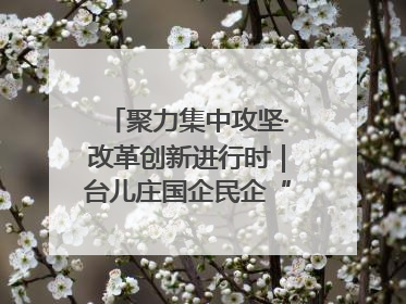 聚力集中攻坚·改革创新进行时｜台儿庄国企民企“联姻”记