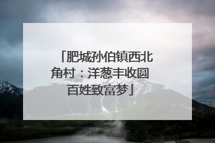 肥城孙伯镇西北角村：洋葱丰收圆百姓致富梦
