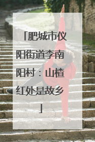 肥城市仪阳街道李南阳村：山楂红处是故乡
