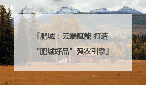 肥城：云端赋能 打造“肥城好品”强农引擎