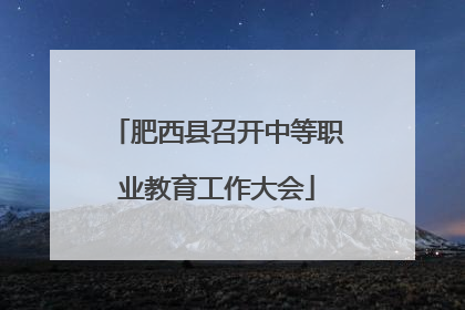 肥西县召开中等职业教育工作大会