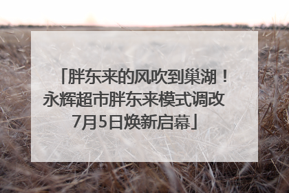 胖东来的风吹到巢湖！永辉超市胖东来模式调改7月5日焕新启幕
