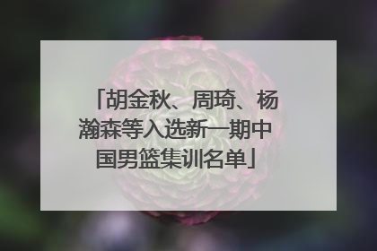 胡金秋、周琦、杨瀚森等入选新一期中国男篮集训名单
