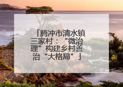 腾冲市清水镇三家村：“微治理”构建乡村善治“大格局”