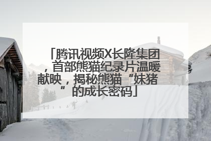 腾讯视频X长隆集团，首部熊猫纪录片温暖献映，揭秘熊猫“妹猪”的成长密码