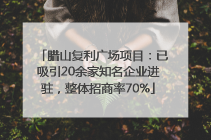 腊山复利广场项目：已吸引20余家知名企业进驻，整体招商率70%