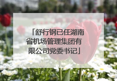 舒行钢已任湖南省机场管理集团有限公司党委书记