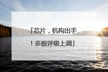 芯片，机构出手！多股评级上调