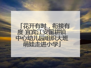 花开有时，衔接有度 宜宾江安留耕镇中心幼儿园组织大班萌娃走进小学