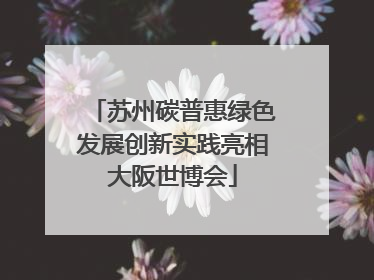 苏州碳普惠绿色发展创新实践亮相大阪世博会