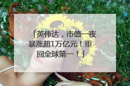英伟达，市值一夜暴涨超1万亿元！重回全球第一！