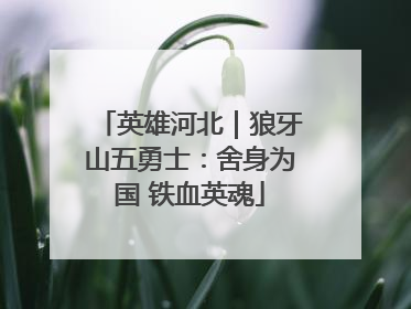 英雄河北｜狼牙山五勇士：舍身为国 铁血英魂