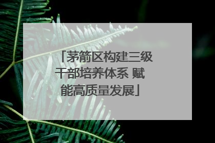 茅箭区构建三级干部培养体系 赋能高质量发展