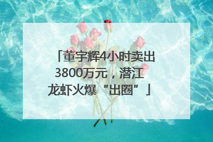 董宇辉4小时卖出3800万元，潜江龙虾火爆“出圈”