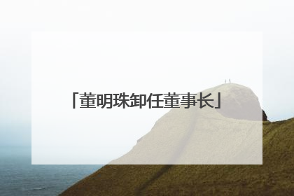 董明珠卸任董事长