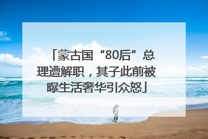 蒙古国“80后”总理遭解职，其子此前被曝生活奢华引众怒