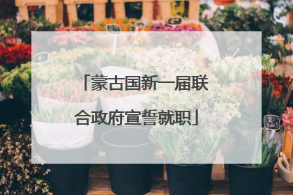 蒙古国新一届联合政府宣誓就职