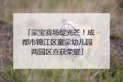 蒙宝赛场绽光芒！成都市锦江区童蒙幼儿园两园区喜获荣耀