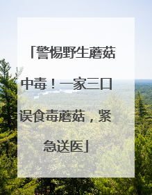 警惕野生蘑菇中毒！一家三口误食毒蘑菇，紧急送医