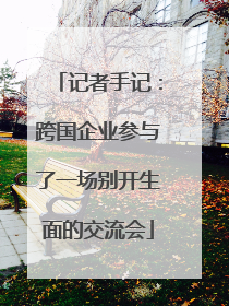 记者手记：跨国企业参与了一场别开生面的交流会