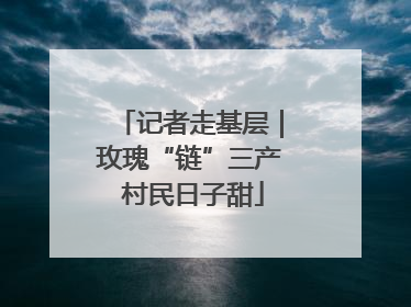 记者走基层｜玫瑰“链”三产 村民日子甜