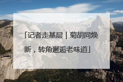 记者走基层｜菊胡同焕新，转角邂逅老味道