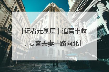 记者走基层｜追着丰收，麦客夫妻一路向北