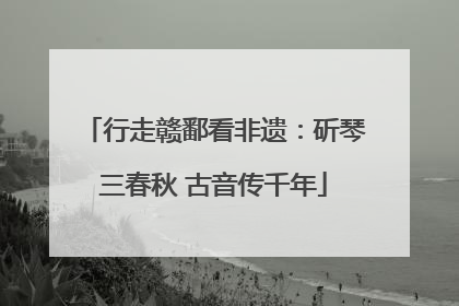 行走赣鄱看非遗：斫琴三春秋 古音传千年
