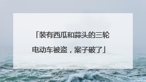 装有西瓜和蒜头的三轮电动车被盗，案子破了