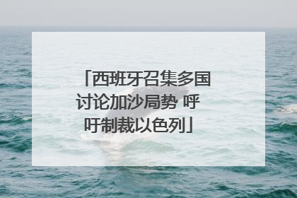 西班牙召集多国讨论加沙局势 呼吁制裁以色列