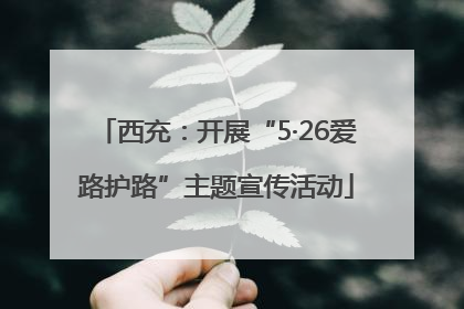 西充：开展“5·26爱路护路”主题宣传活动