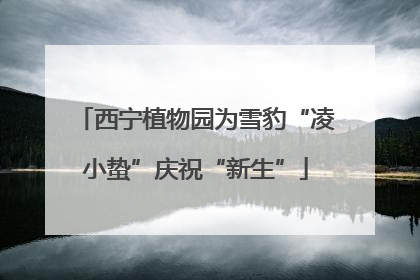 西宁植物园为雪豹“凌小蛰”庆祝“新生”