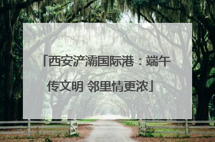 西安浐灞国际港：端午传文明 邻里情更浓