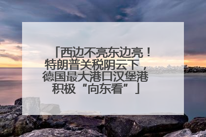 西边不亮东边亮！特朗普关税阴云下，德国最大港口汉堡港积极“向东看”
