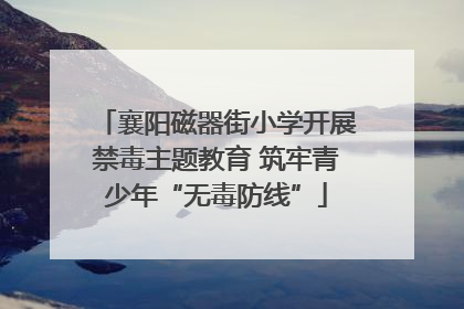 襄阳磁器街小学开展禁毒主题教育 筑牢青少年“无毒防线”