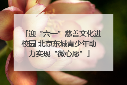 迎“六一”慈善文化进校园 北京东城青少年助力实现“微心愿”