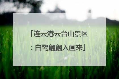 连云港云台山景区：白鹭翩翩入画来