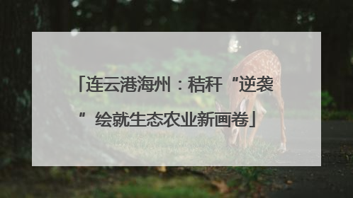 连云港海州：秸秆“逆袭”绘就生态农业新画卷