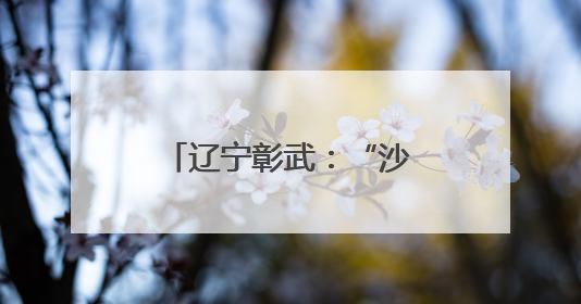 辽宁彰武：“沙窝子”焕新颜