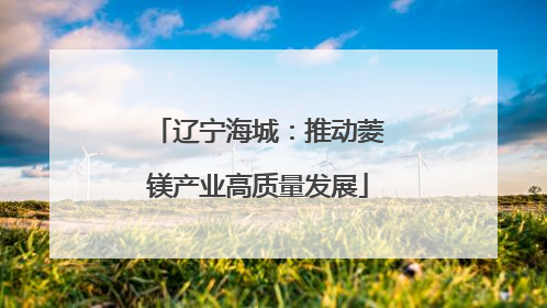 辽宁海城：推动菱镁产业高质量发展