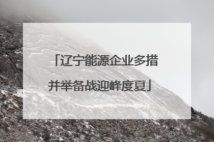 辽宁能源企业多措并举备战迎峰度夏