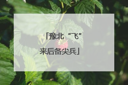 豫北“飞”来后备尖兵