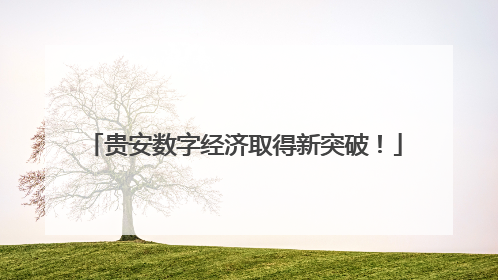 贵安数字经济取得新突破！