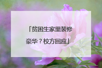 贫困生家里装修豪华？校方回应