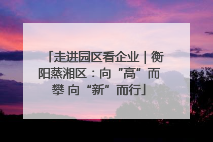 走进园区看企业｜衡阳蒸湘区：向“高”而攀 向“新”而行