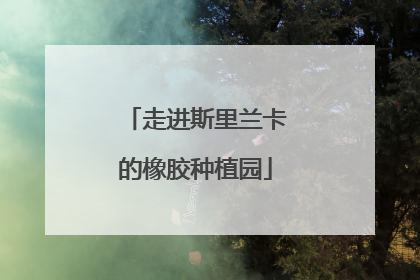 走进斯里兰卡的橡胶种植园