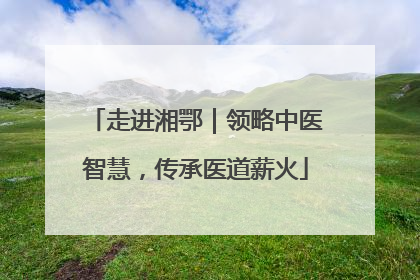 走进湘鄂｜领略中医智慧，传承医道薪火